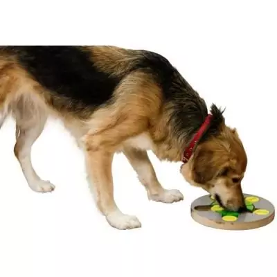 Jeu de réflexion/apprentissage - KERBL - Switch - Ø25 cm