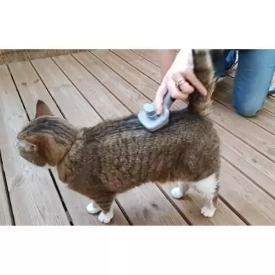 Brosse toilettage - VETOCANIS - Carde auto-nettoyante pour chat - Rétractable - Pour poils longs