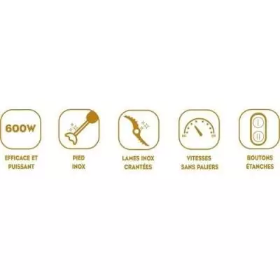 LITTLE BALANCE Mixeur plongeant Speed Inox 600