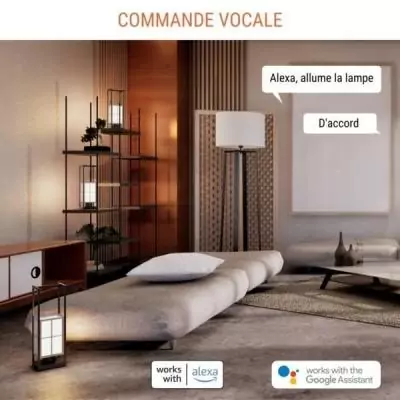 Mini prise intelligente - KONYKS - Priska Max Black FR - Wi-Fi+BT - 16A - Blanc