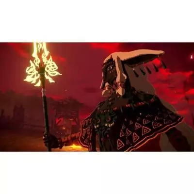 Hyrule Warriors: Les Chroniques du Sceau • Jeu Nintendo Switch 2