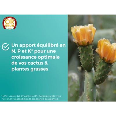 Engrais cactus & plantes grasses - OR BRUN - OBRECLCACTUS250 - 250 ml - Enrichit les plantes - Fabriqué en France